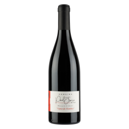 Vignes du Tremblay 2022 Rouge Magnum