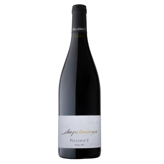 Ampélomeryx Rouge 2024